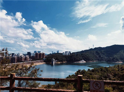 广州抓龙筋的地方有哪些